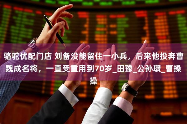 骆驼优配门店 刘备没能留住一小兵,后来他投奔曹魏成名将,一直受重用到70岁_田豫_公孙瓒_曹操