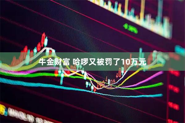 牛金财富 哈啰又被罚了10万元