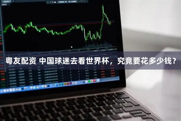 粤友配资 中国球迷去看世界杯,究竟要花多少钱?