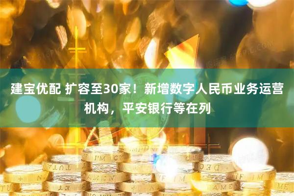 建宝优配 扩容至30家!新增数字人民币业务运营机构,平安银行等在列